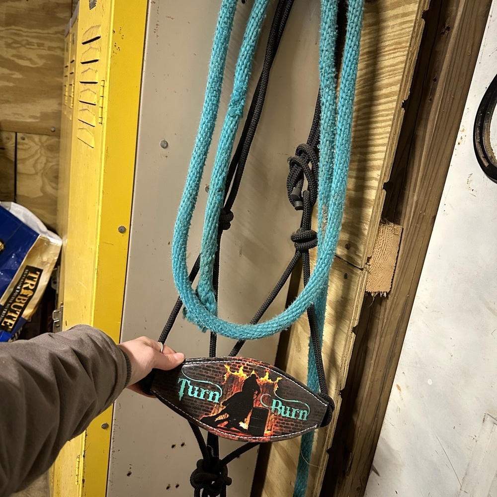 Brand new halter & blue lead rope